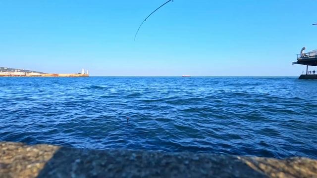 ▶️ Черное море. 2 карася за 7 ч. Ялта 12 августа смотреть онлайн
