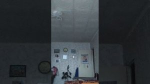 т