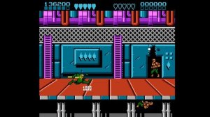 Battletoads & Double Dragon NES