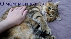 ASMR / О чем канал