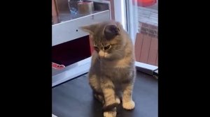 Новый кассир, красавчик!