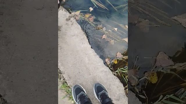 магнитная рыбалка