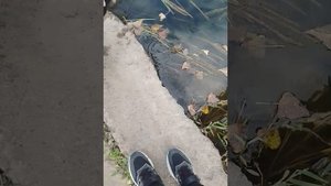 магнитная рыбалка