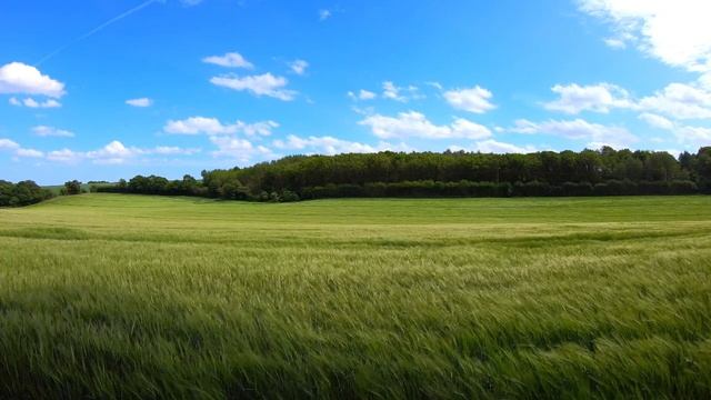 Очень красивое чтение Корана عبدالله الموسي