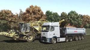 Уборка свеклы ROPA Tiger 6S, Mercedes-Benz Actros L, Arocs+TECTRUM RS26. FS25 Осень, октябрь.