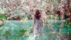 Julio Iglesias - El Amor  [ Guitar Cover ]