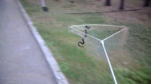 Гадюка 2 серия.mp4