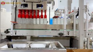 Паллетайзер типа «Pick and Place» для бутылок / Упаковка минеральной воды / Кейспакер