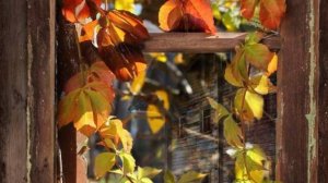 Доброе утро отличного настроения на весь День