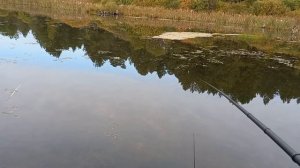 Клюёт карась в сентябре.
