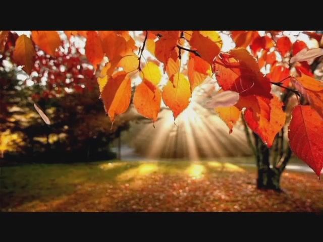 ЛЮБЛЮ Я ЭТОТ ДЕНЬ!    -  Людмила Кондрашова 2021 смотреть онлайн