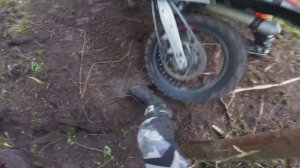 Железная нога