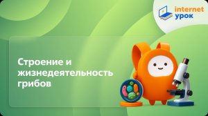 Строение и жизнедеятельность грибов. Видеоурок по биологии 5 класс