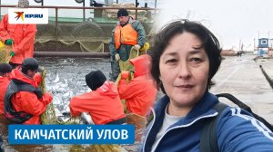 Большой улов: путь лосося от сети у берегов Камчатки до стола покупателя