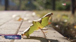 Москвичам пообещали рекордно теплый день осеннего равноденствия / Город новостей на ТВЦ