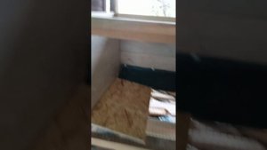 Клетка для  ремонтного молодняка