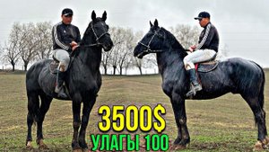 САТЫЛДЫ ЧАЛБАҢЫЗДАР  #байтв