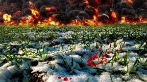 А чтоб меня (2)