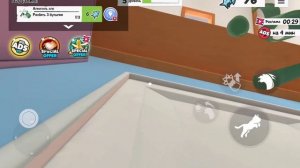 Как пройти все задания в кошачей игре