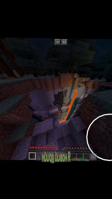 пон да?!  FOZIR shorts