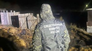 Тела двух детей обнаружили после тушения стога сена в Оренбуржье