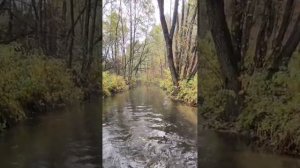 На дорожку.mp4