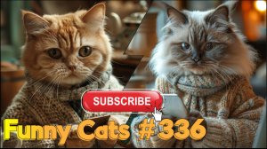 Смешные коты #336