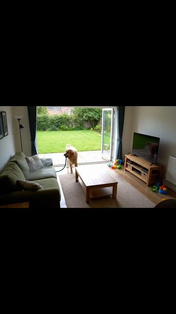 Когда установили дома камеру, и стоило только раз уехать… смотреть онлайн