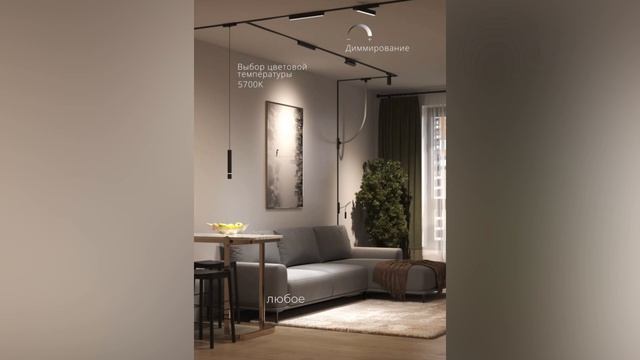 Управление магнитно-трековой системой RAPID от ARTE Lamp смотреть онлайн