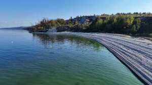 Птичий блокбастер. Чайки нападают на бакланов.