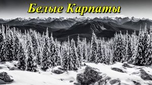 Белые Карпаты