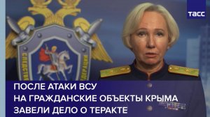 После атаки ВСУ на гражданские объекты Крыма завели дело о теракте