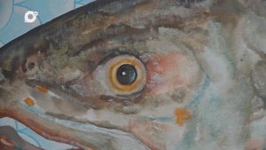 Культурно / На берегу / 20.09.25