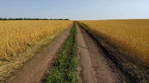ВЕЛИКАЯ РУСЬ