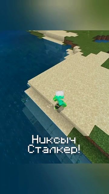 никсыч сталкер  FOZIR shorts