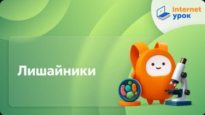 Лишайники. Видеоурок по биологии 5 класс