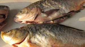 Карп в сметане