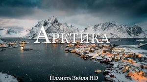 Арктика HD - Живописный Фильм о дикой природе с успокаивающей Музыкой