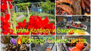 Дача нетолька для Работы/И для Одыха тоже 🔥Грилим Колбасу и Баклажаны 🍆Инжир трёх цветный