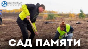 Территорию у городской стелы озеленили в память о погибших в ВОВ