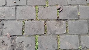 Дорожка из деревянных шашек. Смотрим мощение. Состояние через 8 лет.