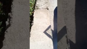 гуляю с другом по городу