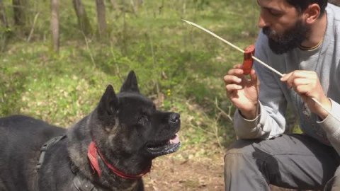 ХАКАН двухэтажный дом. примитивная рыбалка