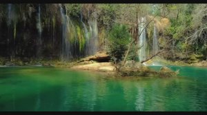 Serenity in Nature | Slow Music's Harmonious Touch