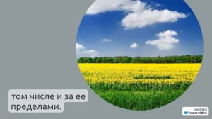 Изучаем происхождение и историю фамилии Алабужин: значения и склонения в подробном обзоре