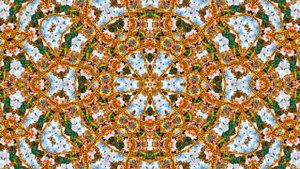 Осенние Цветы!!! Осенний калейдоскоп 1!!!