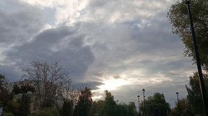 Красивая осень 🍂Риччи-погремушка 🤪Книга "Убивать Осознанно"6 часов сна, как выжить 😈