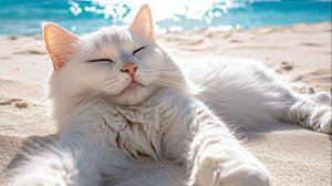 Мурлыканье кошки ASMR