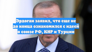 Эрдоган заявил, что еще не до конца ознакомился с идеей о союзе РФ, КНР и Турции