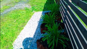 КУПИЛИ ДАЧУ🏠НАШ ОГОРОД/ ВАНДАЛЫ НА ДАЧЕ😱